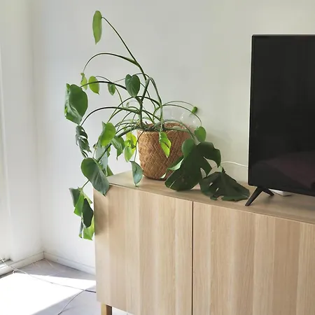 公寓 Cozy Two-room With Private Balcony *